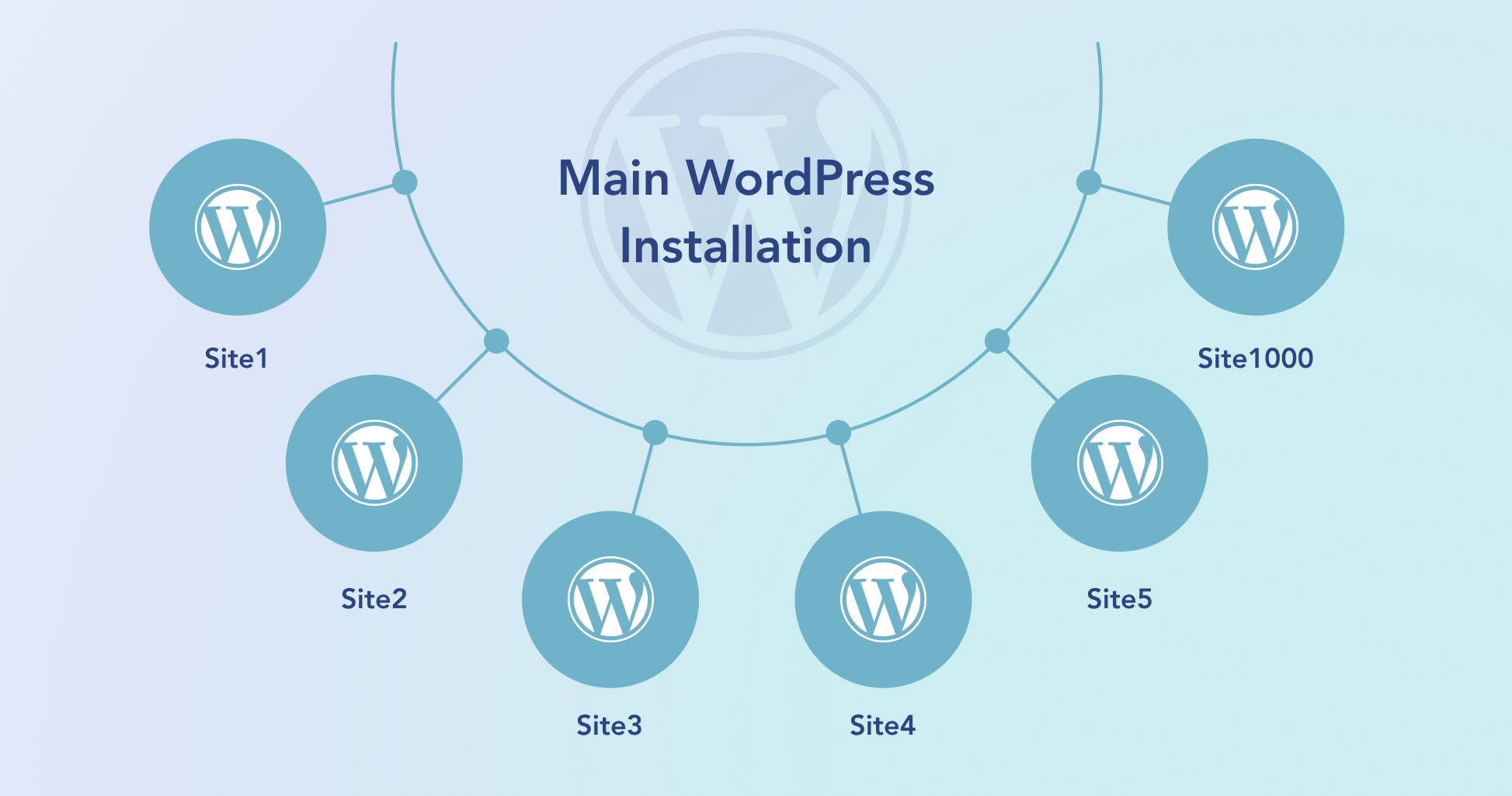 WordPress Multisite là gì? - Khám phá cấu trúc và lợi ích vượt trội của mạng lưới đa trang web trên nền tảng WordPress